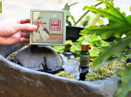 Dầu xoa bóp – Sinh Dược